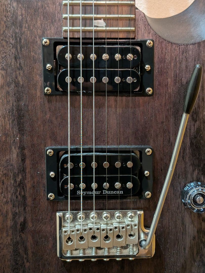 PRS SE CE24 エレキギター ピックアップ交換