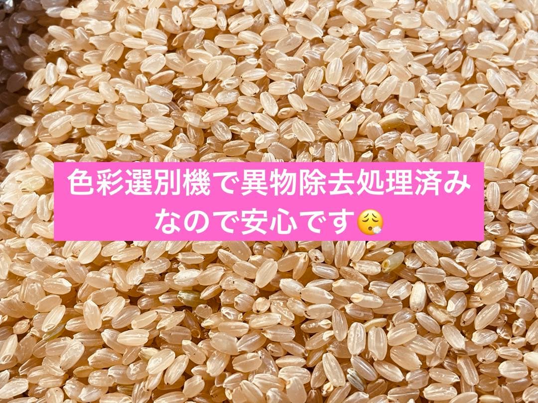 令和7年産 はえぬき玄米30キロ