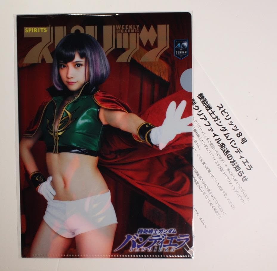 機動戦士ガンダム×桃月なしこ ジオン軍コスプレ クリアファイル 50名限定抽選品