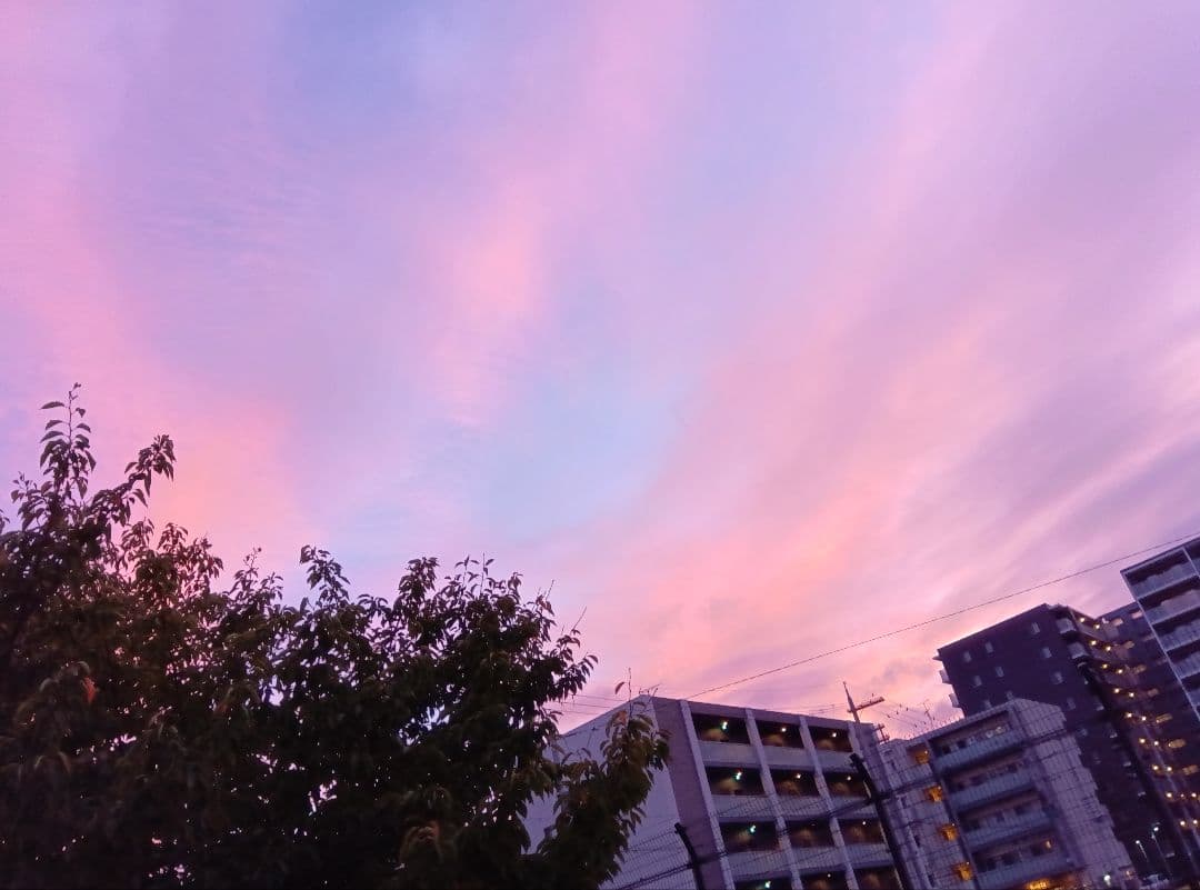 楽一番公式アカウント03　ぷちサンプル ミニスイーツ 完全未開封品1BOX