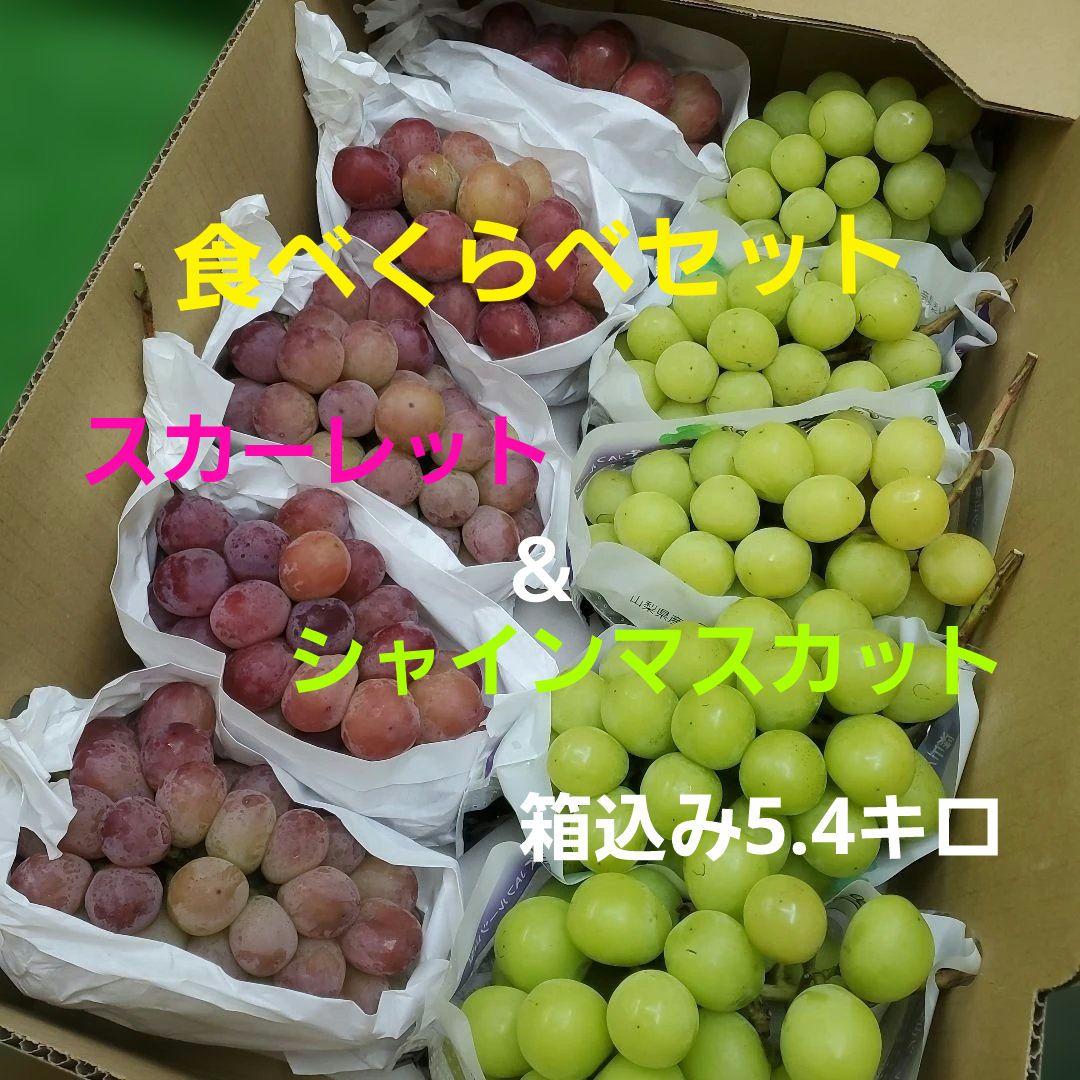 4️⃣ 山梨県産 シャインマスカット＆スカーレット １０房入り 箱込み5.4キロ
