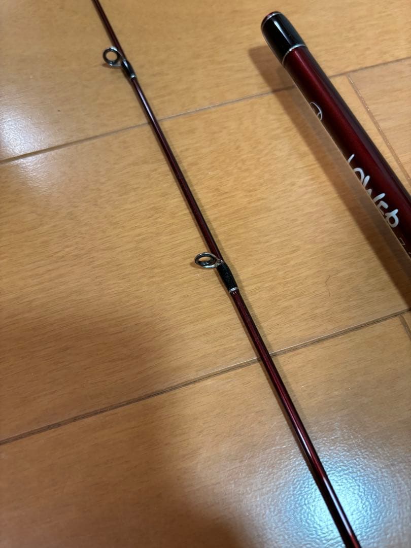 フィッシュマン ビームス ローワー 7.3L Beams LOWER7.3L