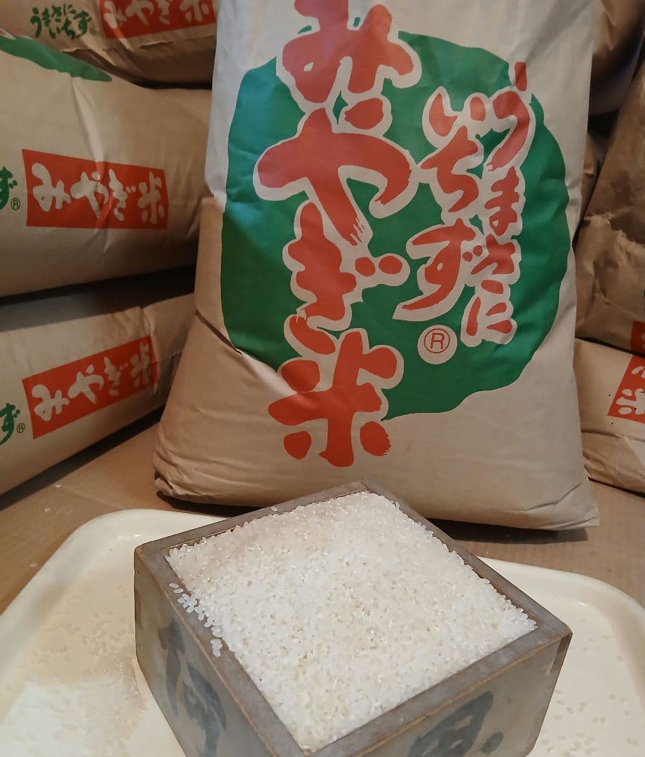 令和7年度　宮城県産　つや姫 10kg