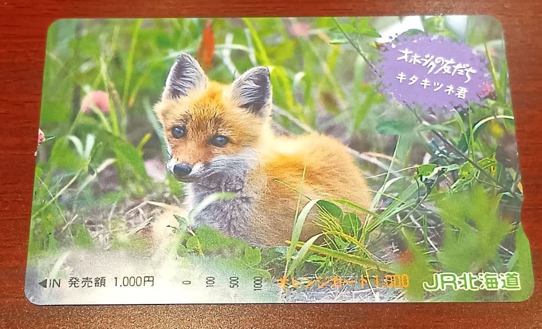 国鉄/JR東日本/JR北海道/JR貨物 オレンジカード13枚 未使用