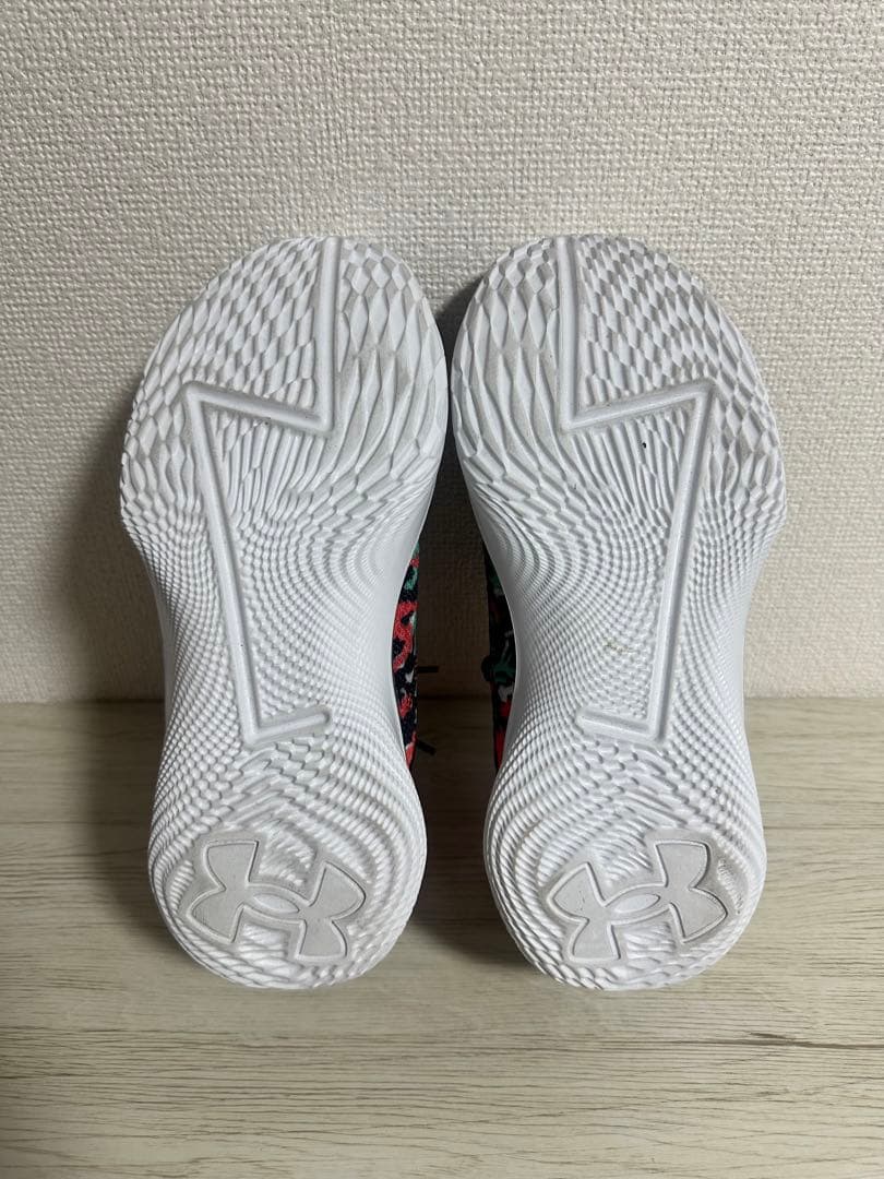 カリー1 ロー フロトロ