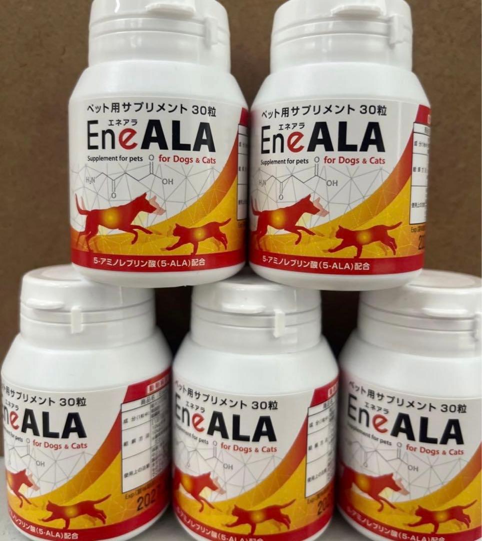 超激安！エネアラ　　5個
