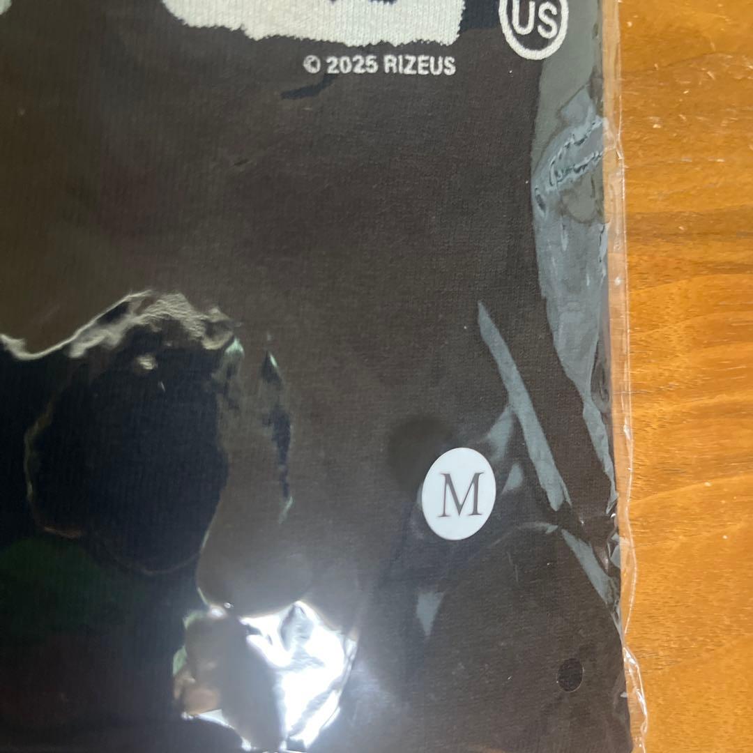 RIZE 家紋 LogoTee Tシャツ Mサイズ　新品未開封