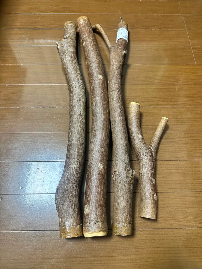 ENTOHOポール　（エントホタープポール）