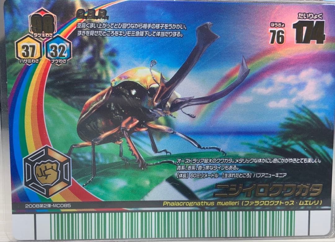 甲虫王者ムシキング　アダー完結編　レインボー　ニジイロクワガタ　オレンジ　１枚
