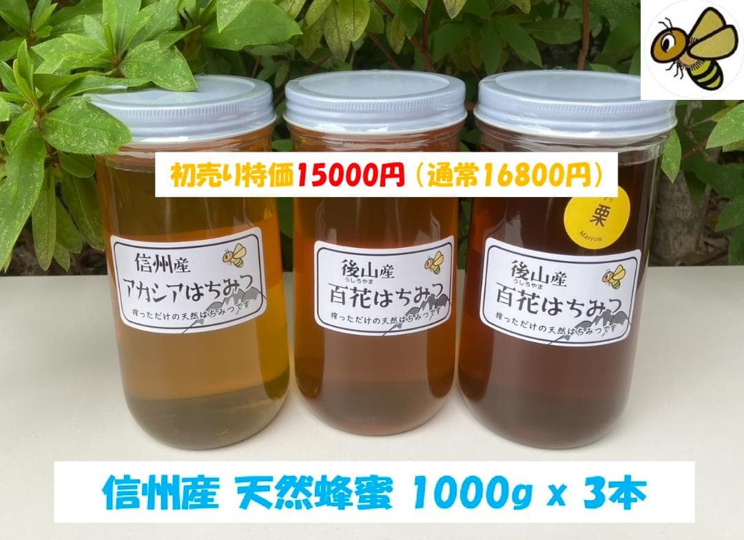 【初売1/18迄】 国産蜂蜜 1000g 3種 アカシア 百花 栗蜜 天然蜂蜜