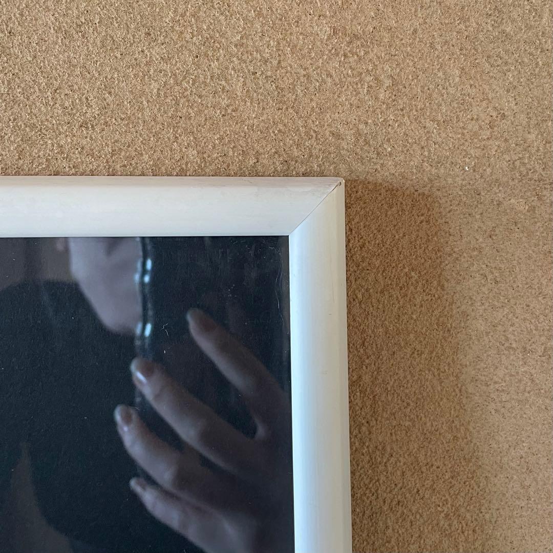 渡辺すすむ　「Mixed blossoms-B」　リトグラフ　26.1.18−1