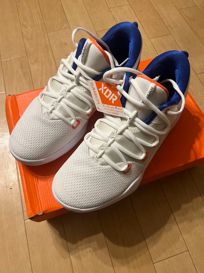 シューズ(男性用) NIKE HYPERDUNK X LOW EP