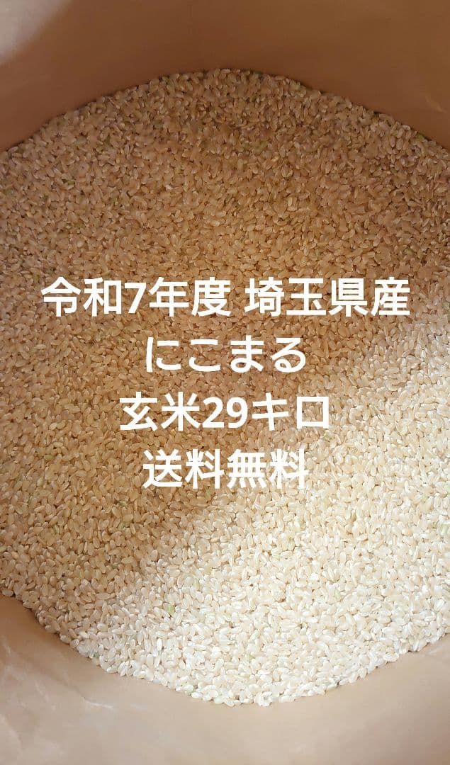 令和7年度 埼玉県産⭐にこまる⭐玄米29キロ 送料無料