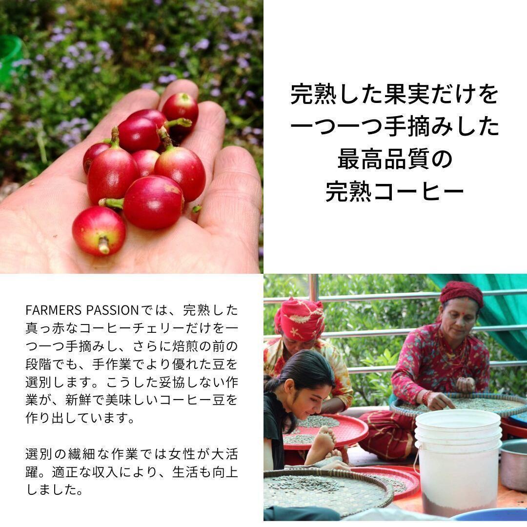 ☆オーガニックコーヒー アメリカン フェアトレード 1kg コーヒー豆 ネパール