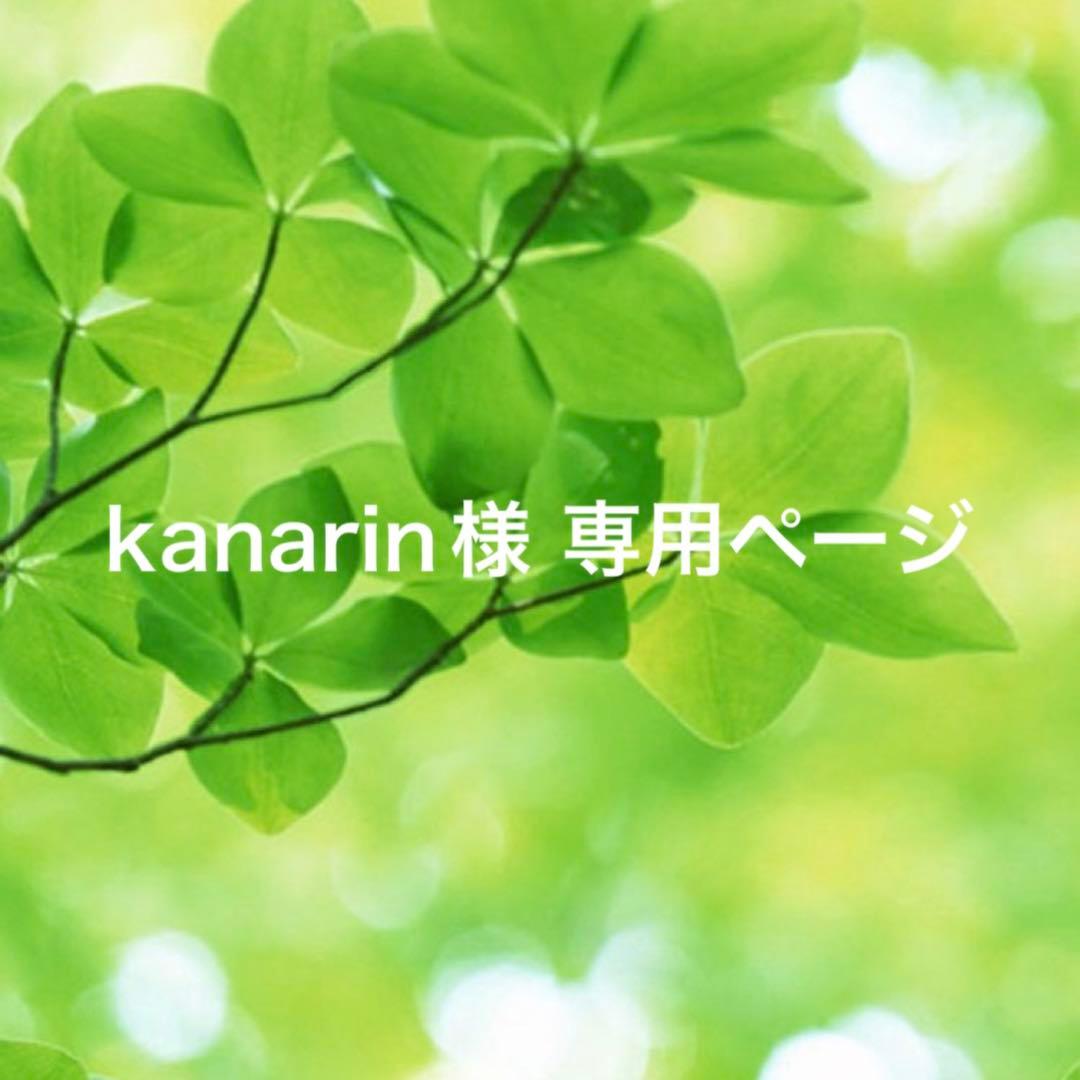 kanarinページ