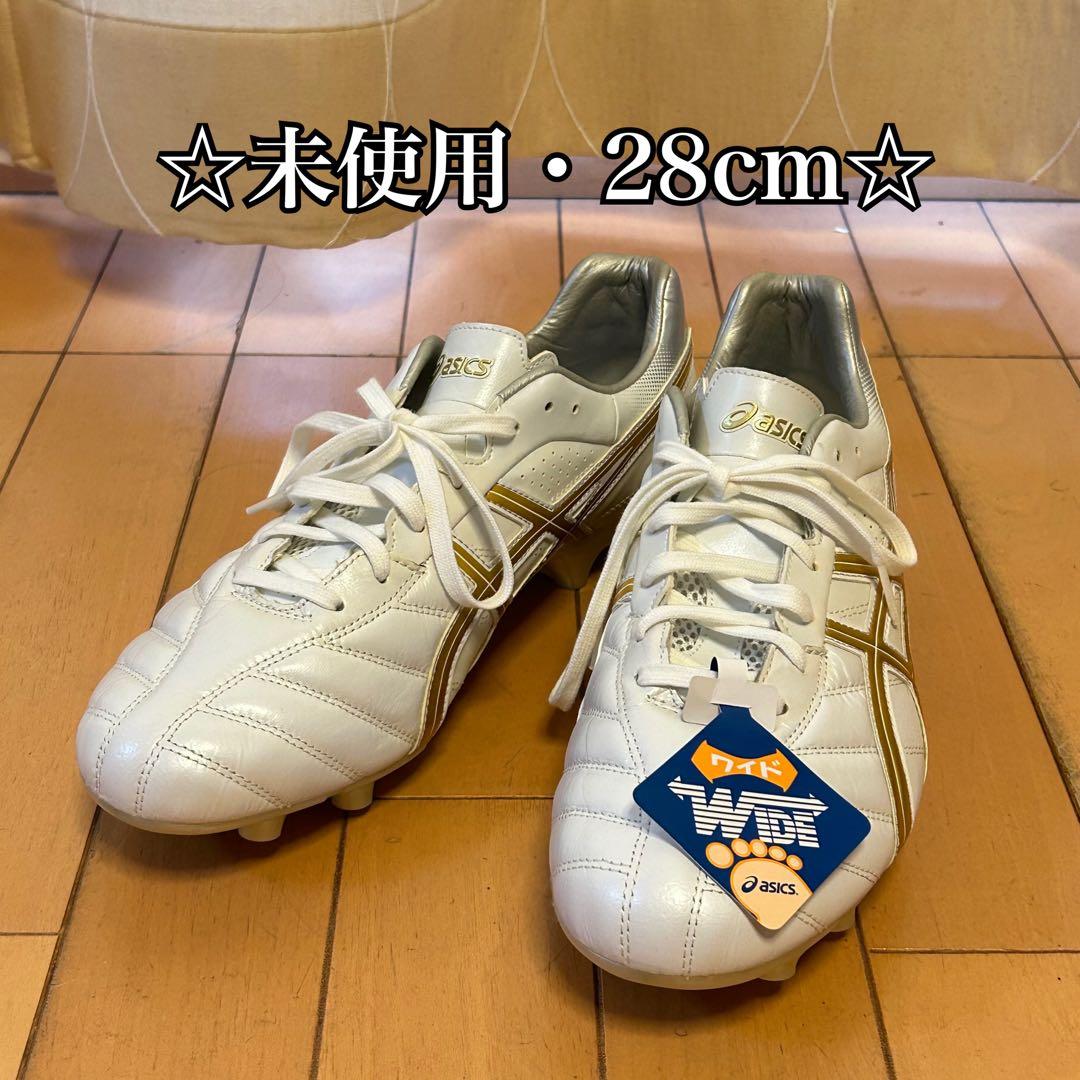 ☆未使用☆ asics DS LIGHT WIDE 28cm 幅広　ワイド