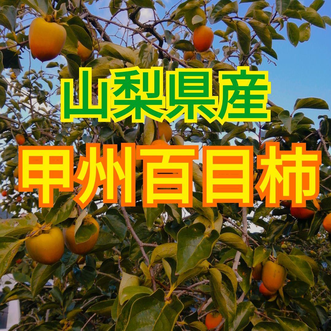 都様　山梨県産　枯露柿・干し柿用　渋柿　甲州百目柿　20kg