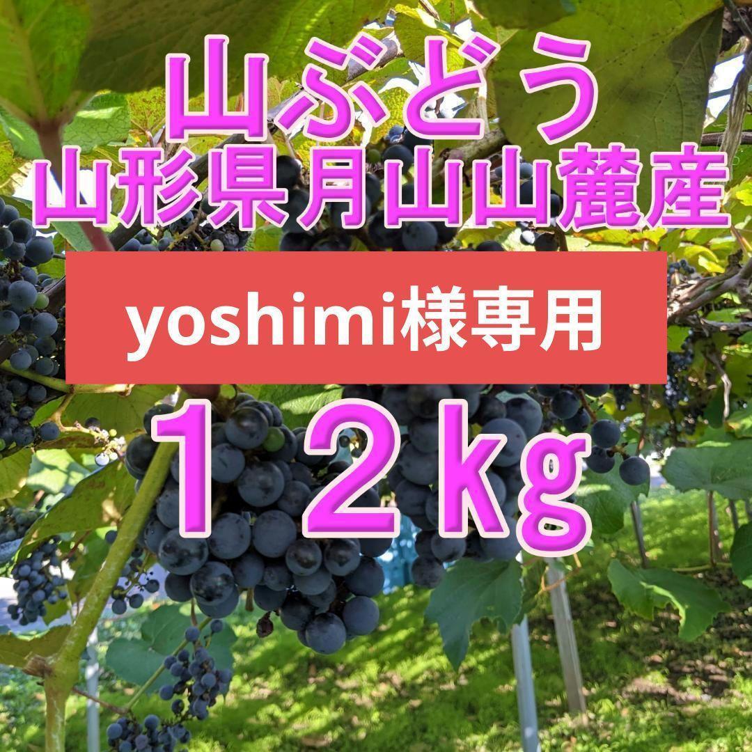 【yoshimi】山ぶどう １2㎏　山形県月山山麓産①