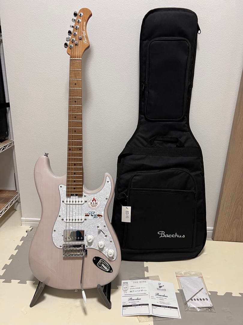 バッカス　BSH-850 /RSM S-SW 最終値下げ！