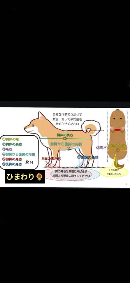 柴犬4輪　リハビリ　食事補助　犬用車椅子　シニア犬補助　犬の歩行器