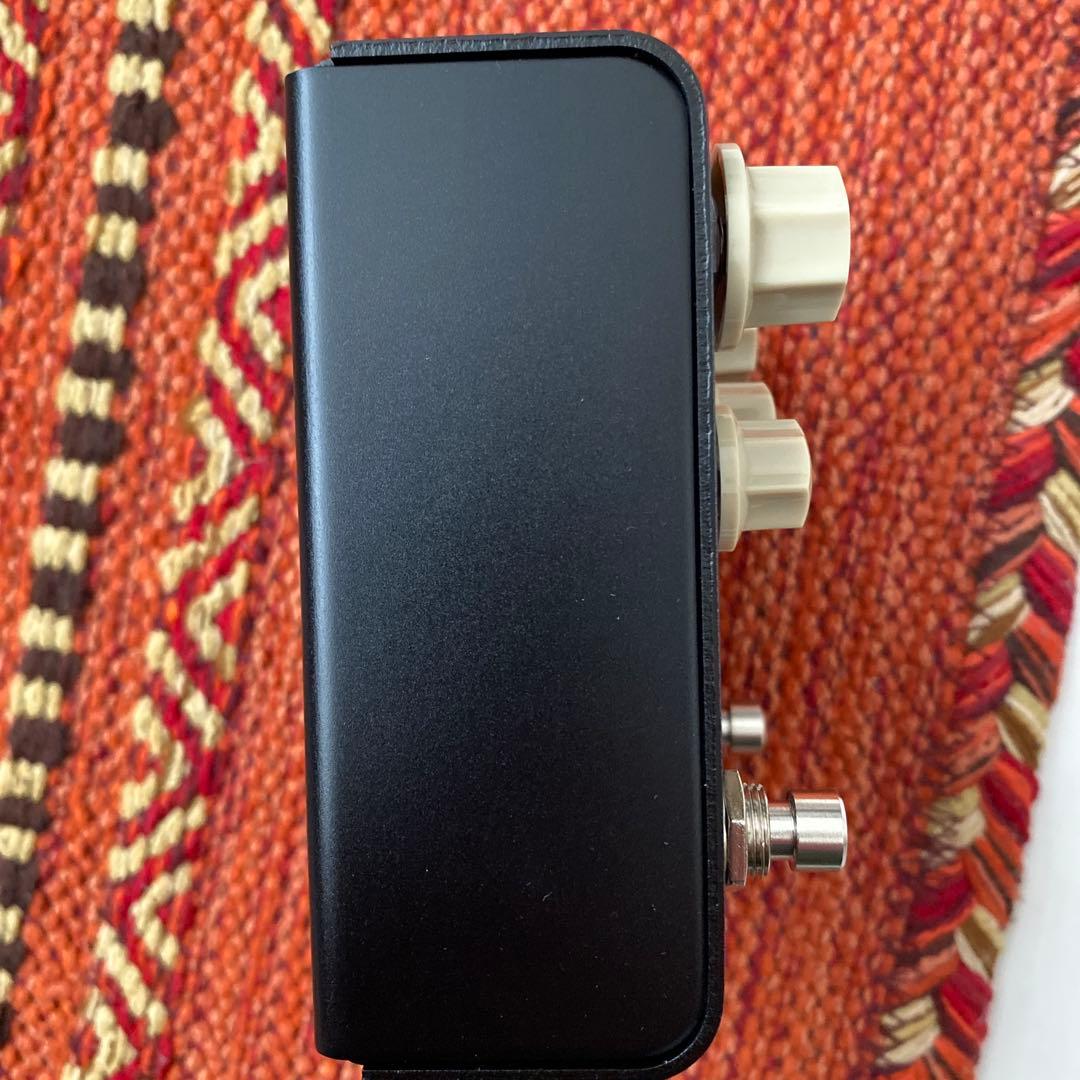 Strymon FLINT トレモロリバーブ　V2