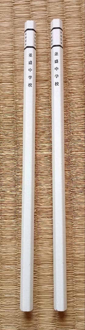 【匿名配送】家庭教師ヒットマンREBORN！ 並盛中学校 鉛筆 白色 イベント