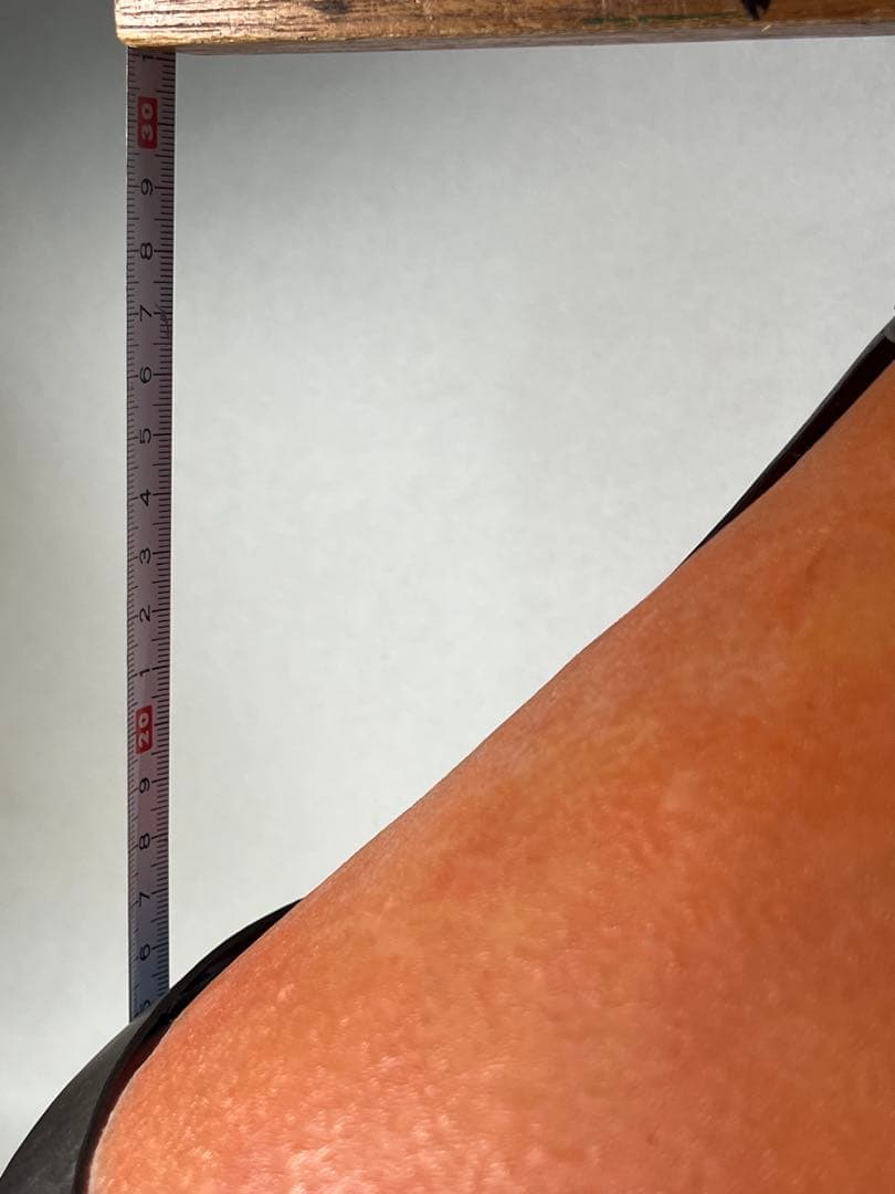 ロッジ•マイカランプ　アーツ&クラフツの金属工芸家ファン•エルブ作