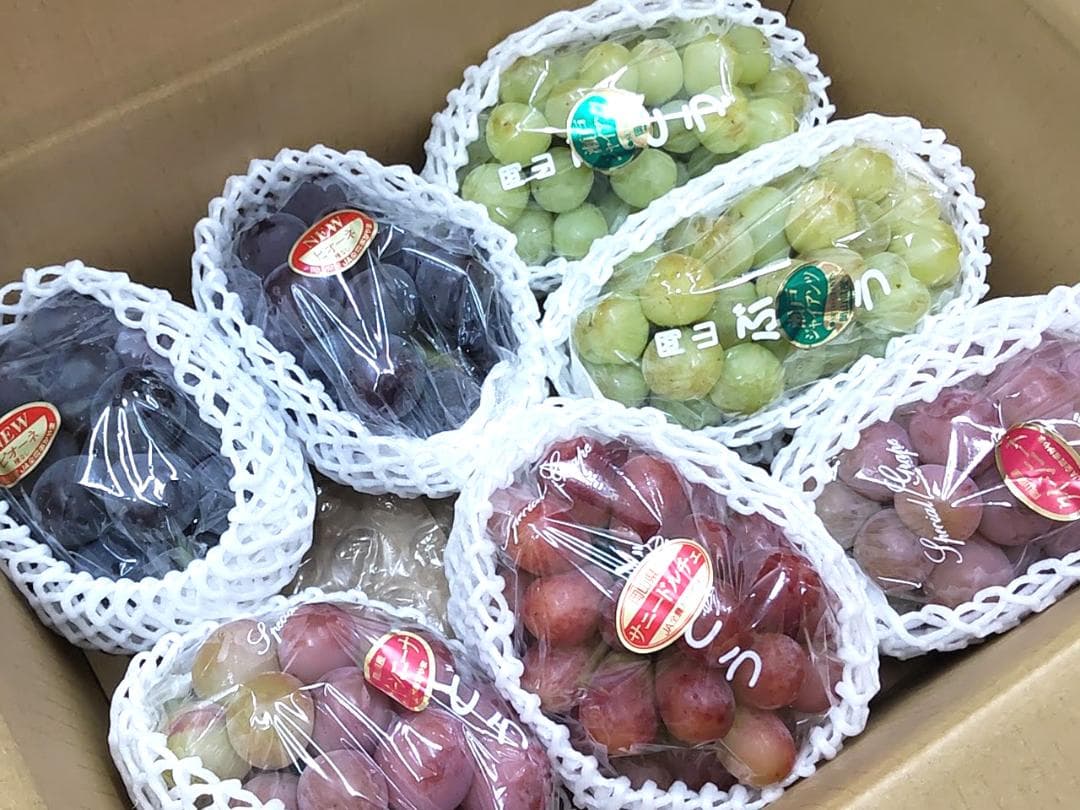 【安心の冷蔵便】岡山産　ぶどう食べ比べ（4～7種類）　ご家庭用　約4ｋｇ