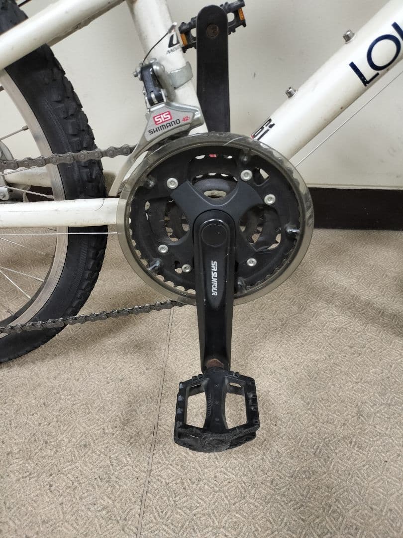 ルイガノ LOUIS GARNEAU J22 ジュニア バイク