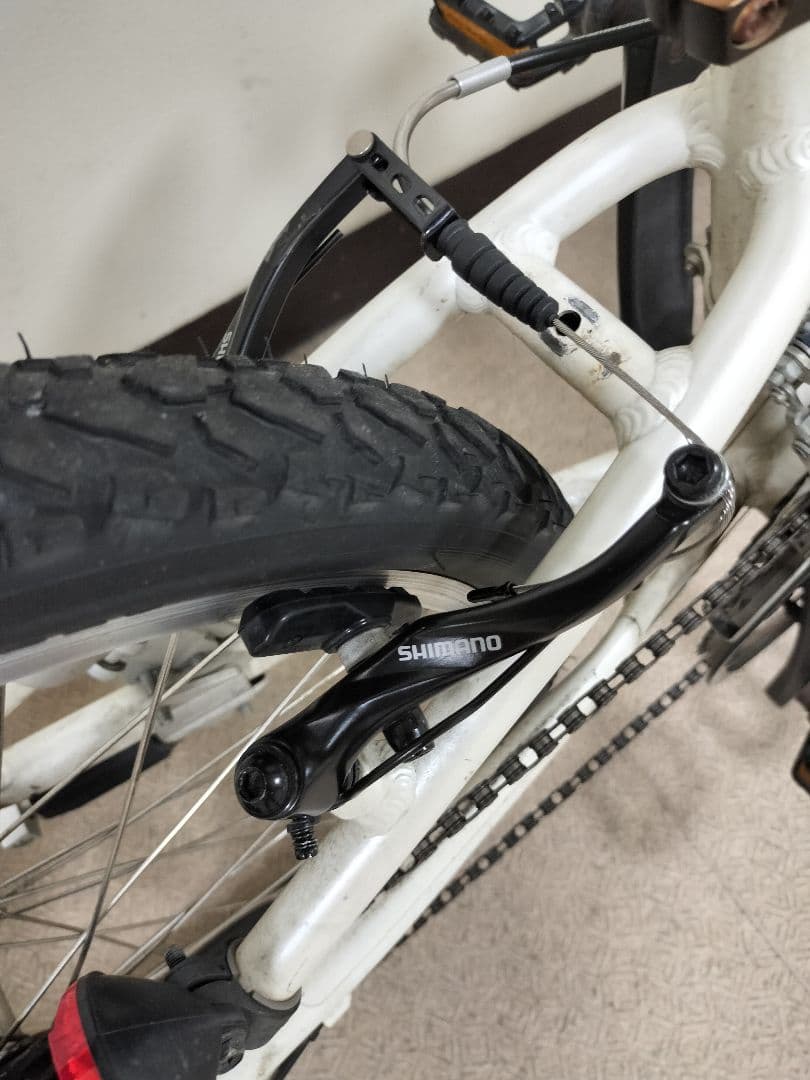 ルイガノ LOUIS GARNEAU J22 ジュニア バイク