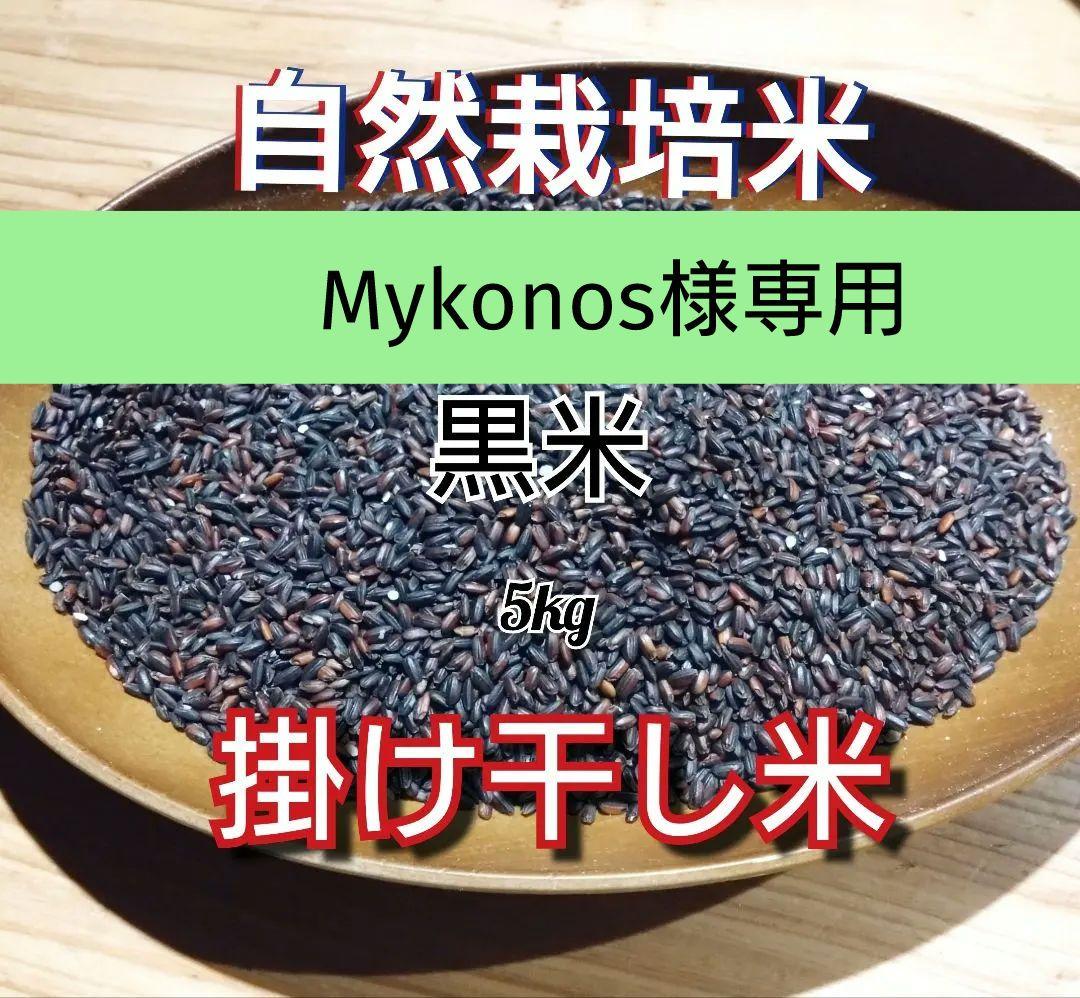 R7年新米 自然栽培米 黒米ミックス5kg玄米