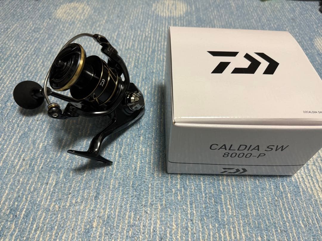 リール DAIWA CALDIA SW 8000-P