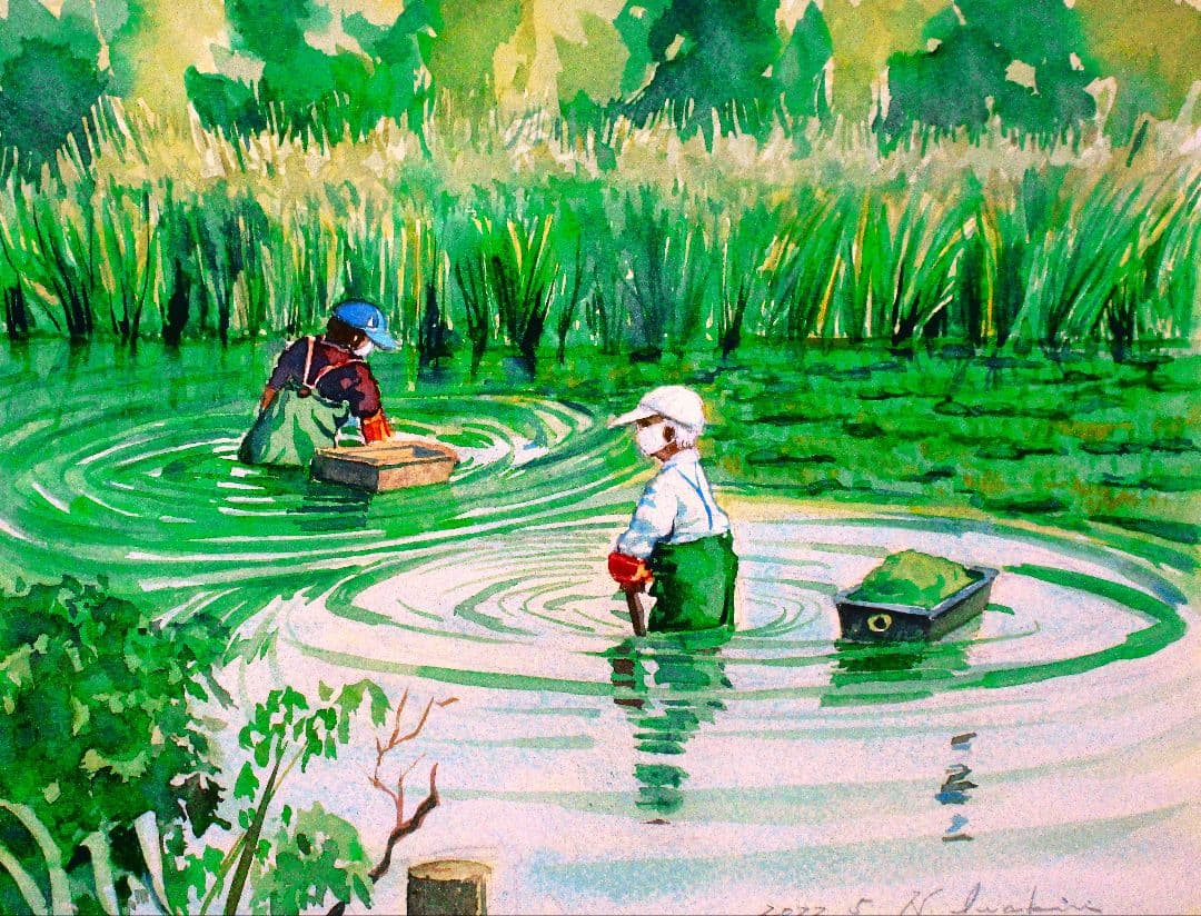池の清掃 水彩画 F6サイズ 額装済み