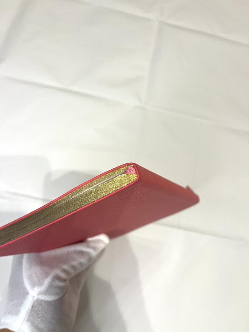 ルイヴィトン R98587 カイエ クレマンス ヴィヴィエンヌ ノート 未使用