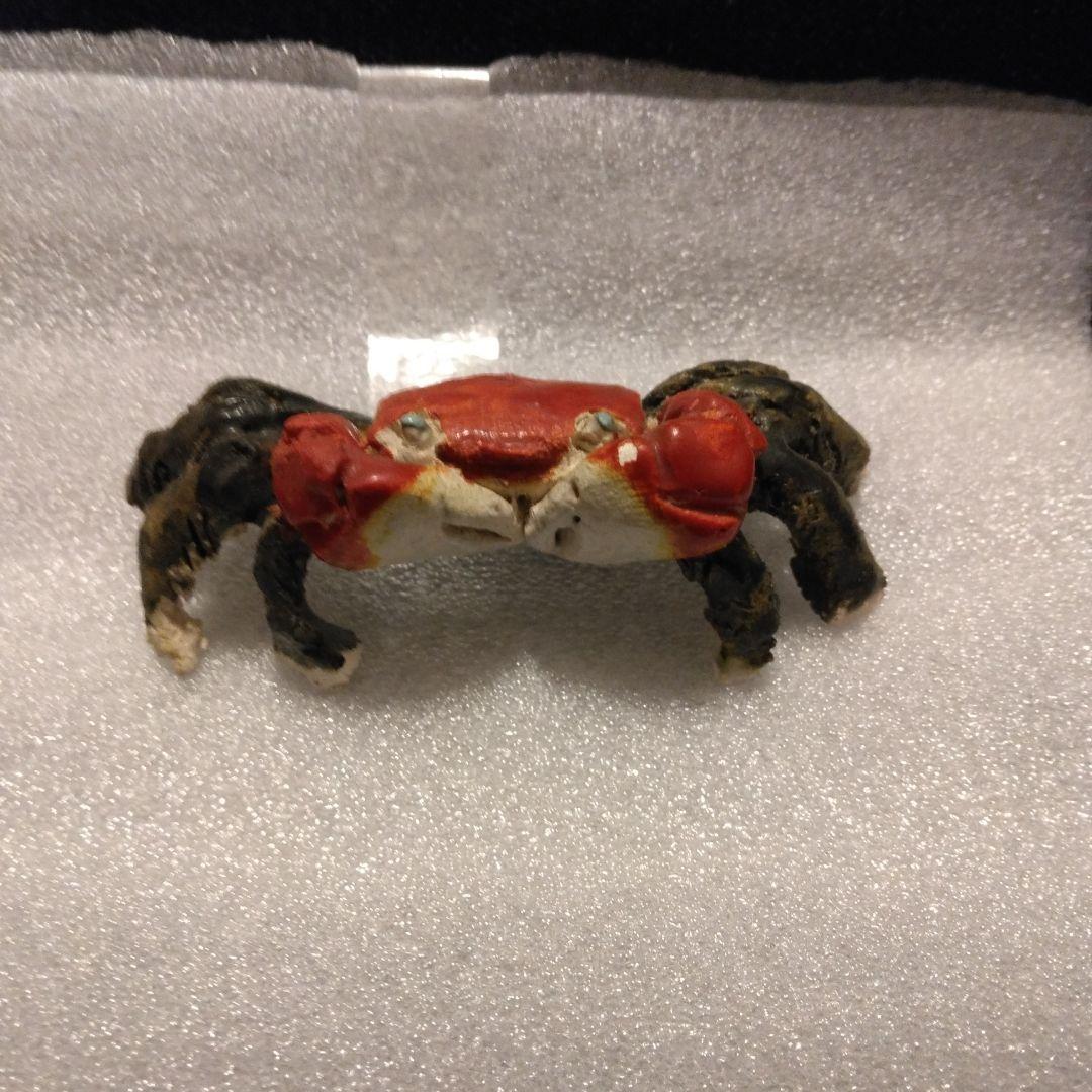 古い蟹　水月焼　楽山　二六