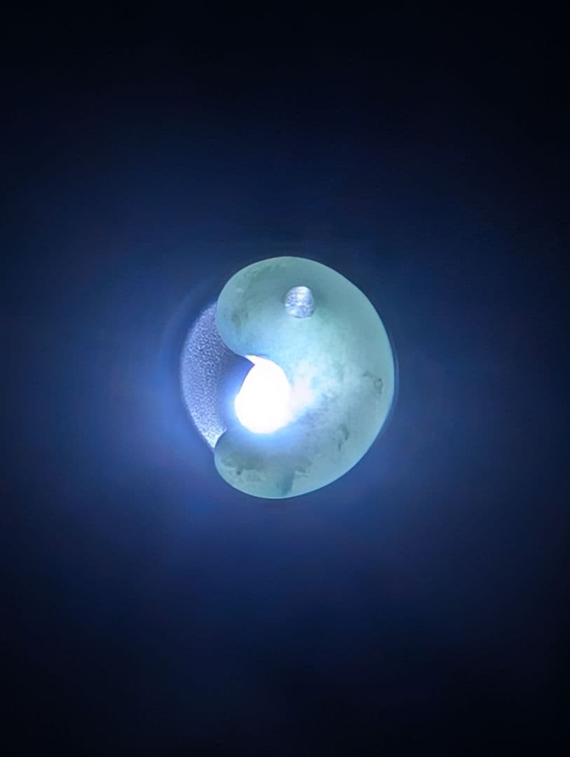 糸魚川産　本翡翠　琅玕　店主イチオシ