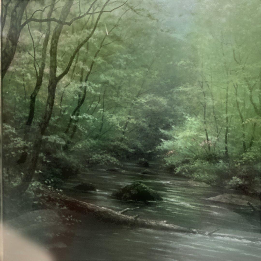 秀ちゃんさん専用　向山一石　（もいやまいつせき）　春光に憩う　「奥入瀬」　F6