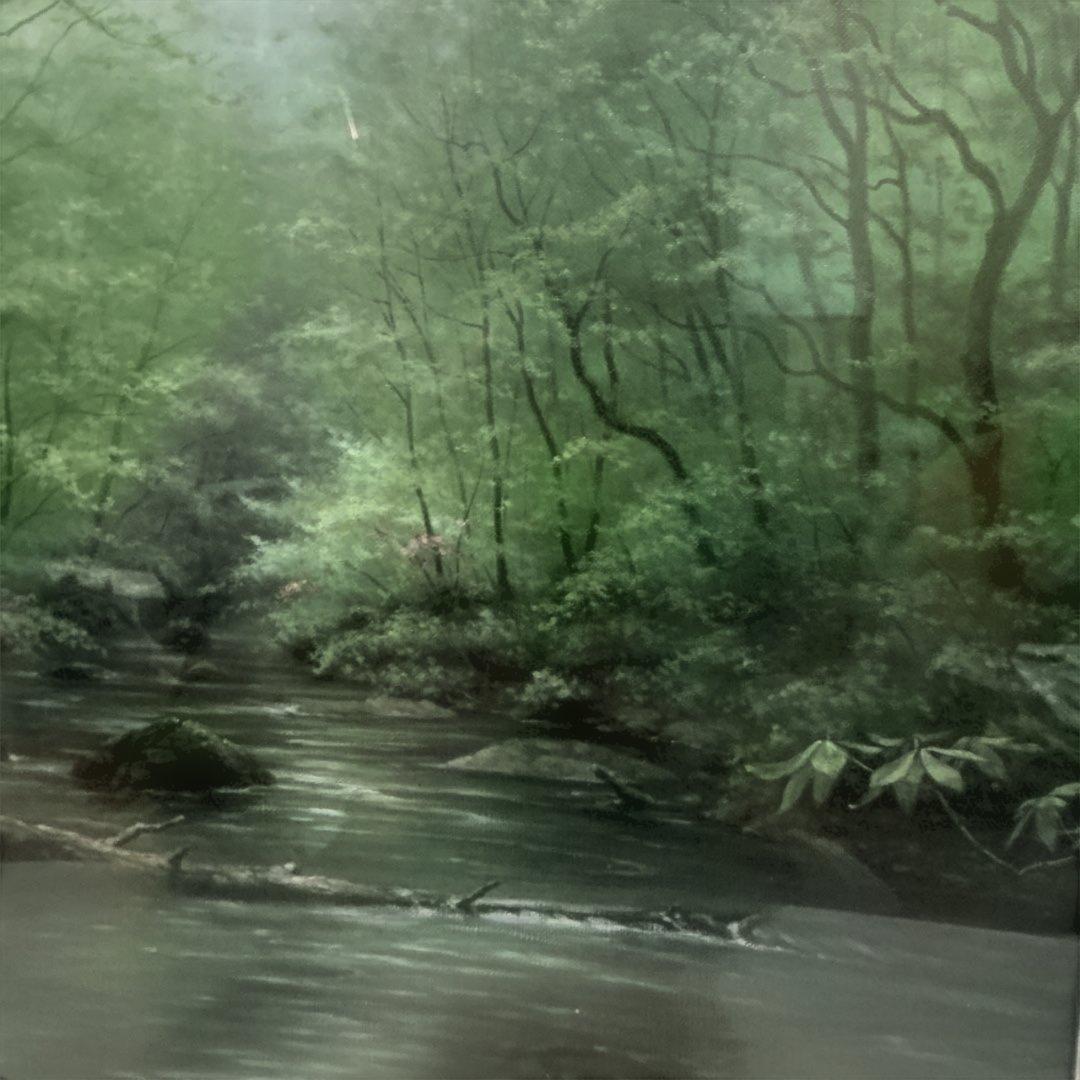 秀ちゃんさん専用　向山一石　（もいやまいつせき）　春光に憩う　「奥入瀬」　F6