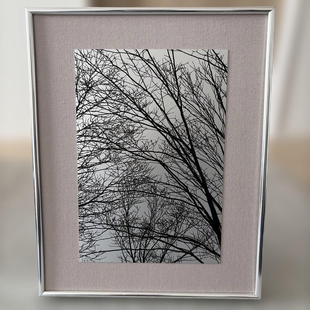 原画【富岡惣一郎】 早春・梢 けやき林 八海山　白の世界　文化村