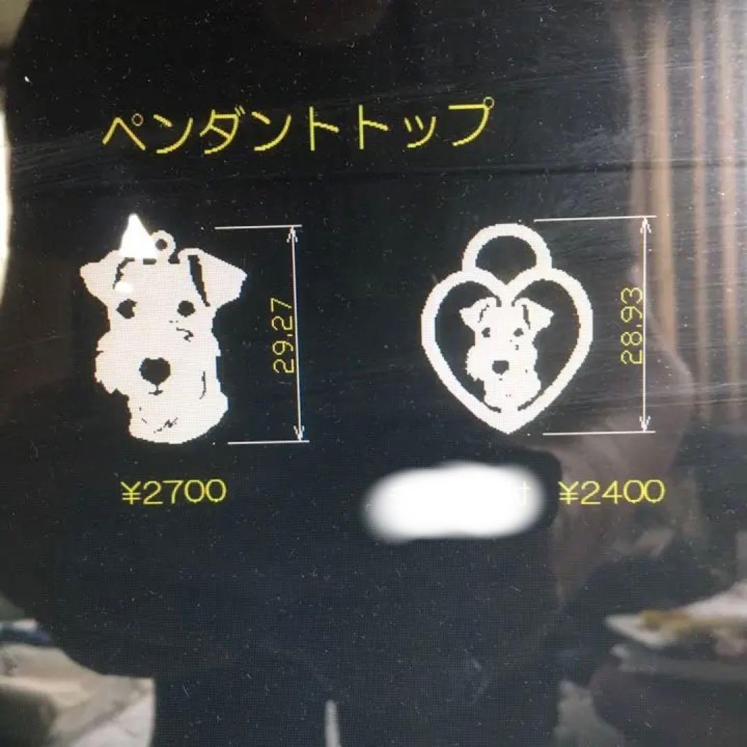 ワイヤーフォックステリア グッズ