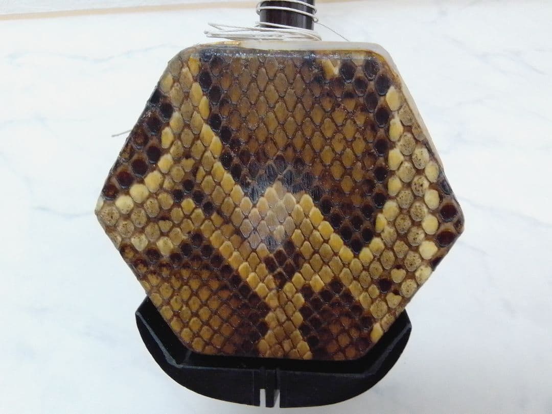 二胡 弓 敦煌牌 東洋文化学院 民族楽器 中国楽器 ハードケース付 胡弓