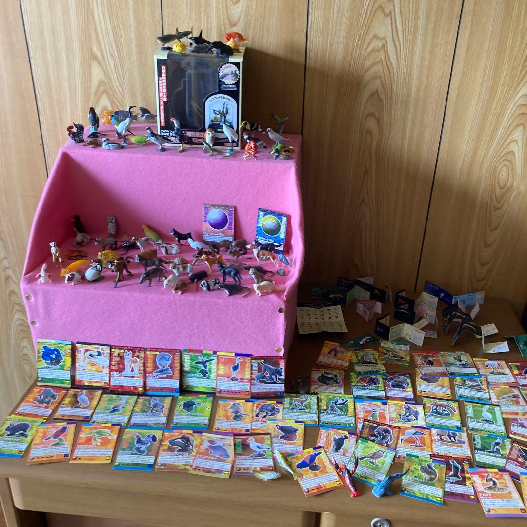 海洋生物動物フィギュアセットわがままな日本の天然記念物カード50枚以上特別ケース