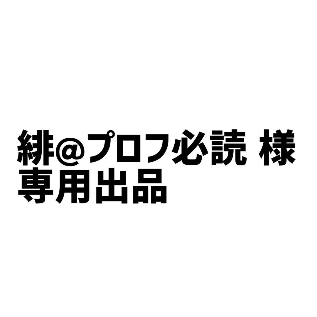 緋@プロフ必須 出品