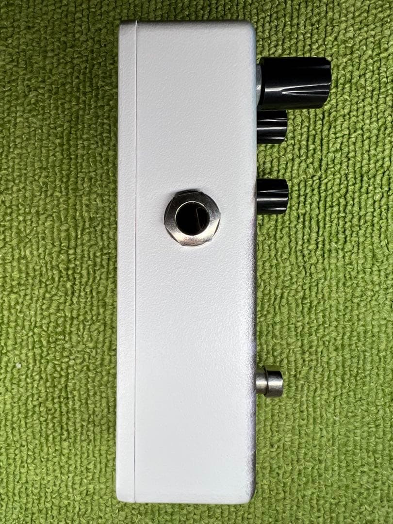 Animals Pedal Custom Illustrated 028光の匂い