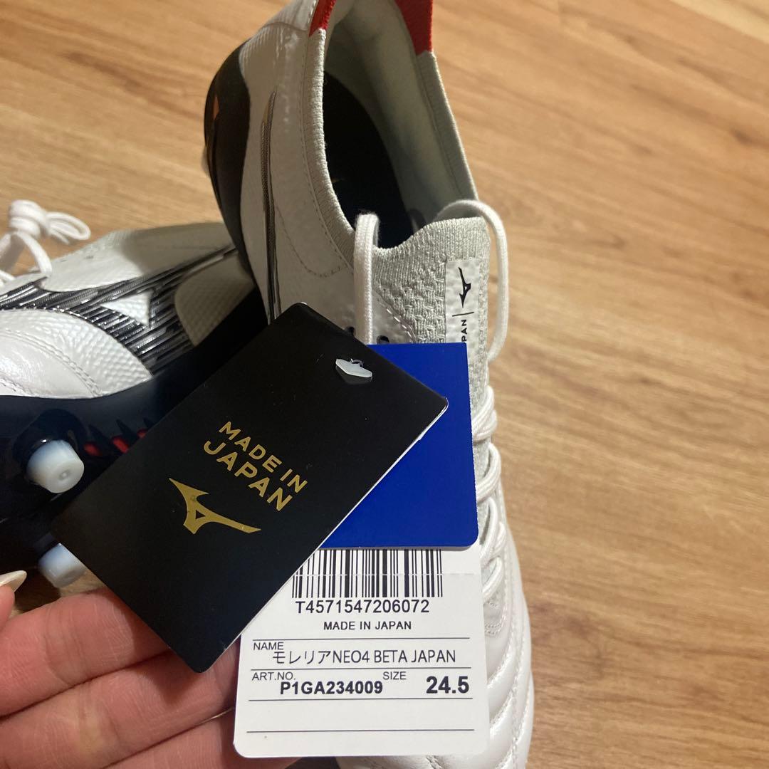 Mizunoモレリアネオ 24.5cm