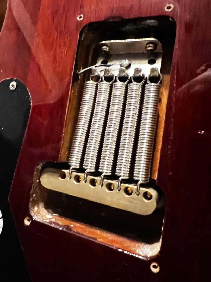 PRS SE Custom24 Ziricote 国内20本限定モデル