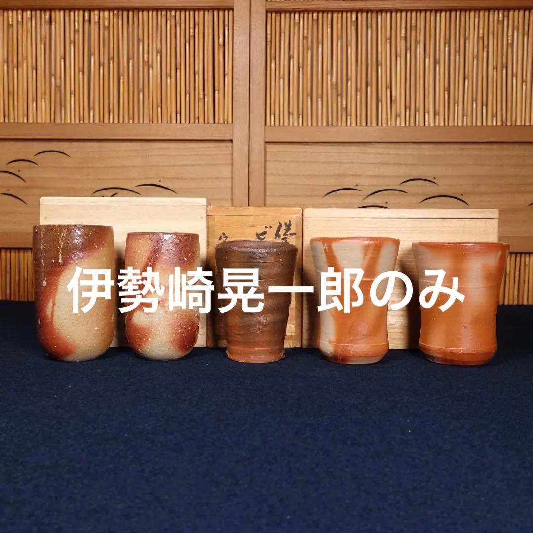 伊勢崎晃一朗のみ