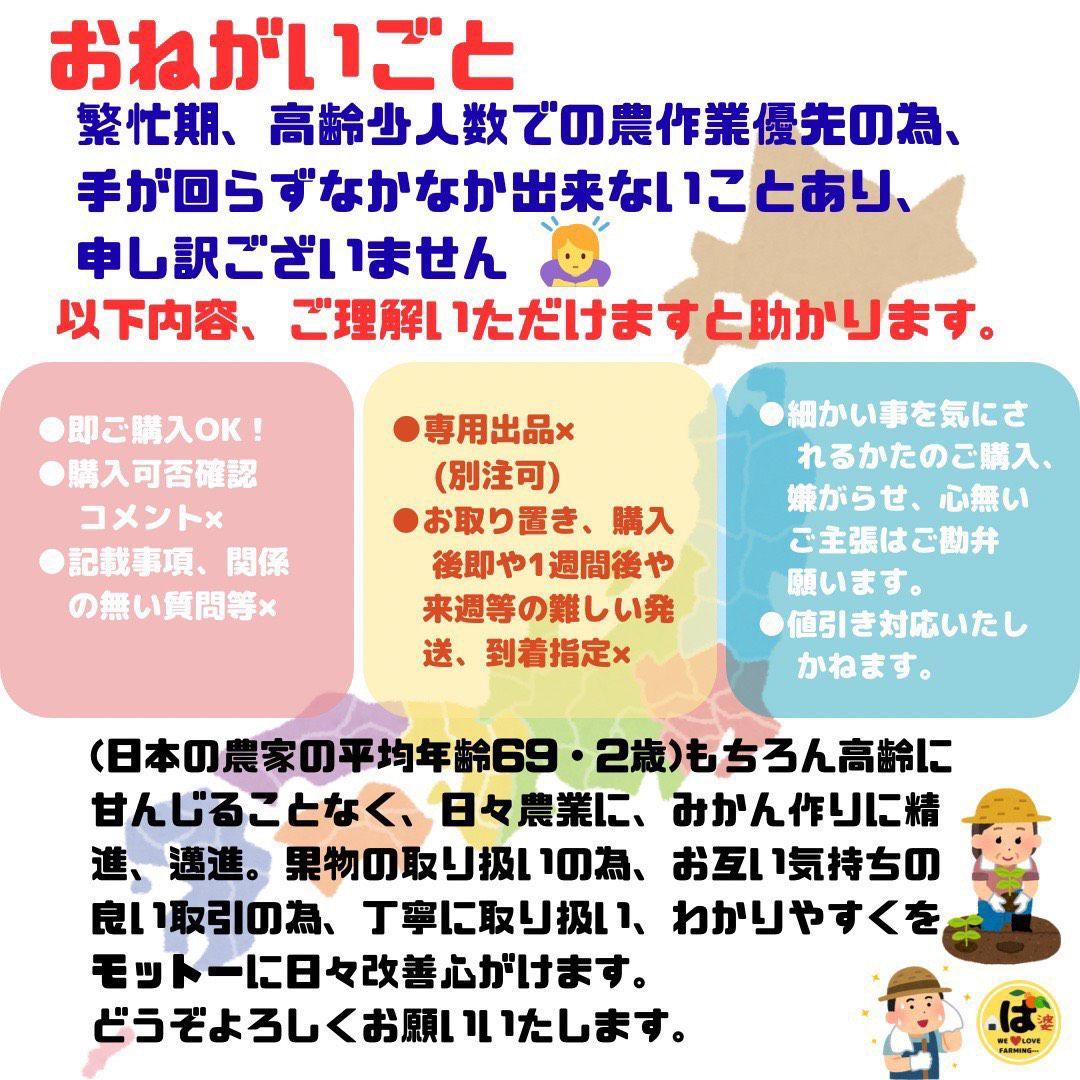 ※確認用　家庭用　大玉MIX箱込み9.5kg以上【露地栽培　不知火　デコポン】