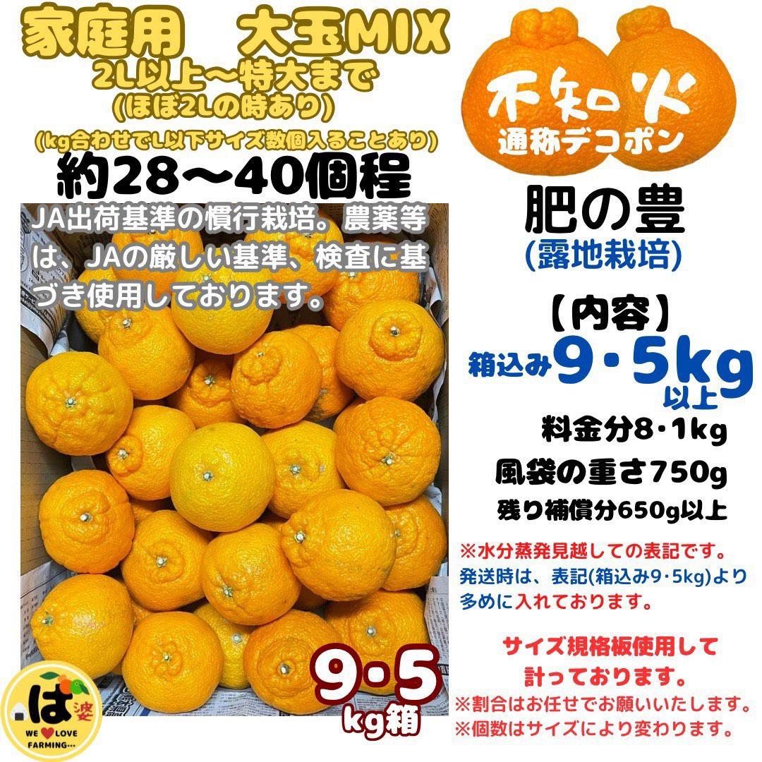 ※確認用　家庭用　大玉MIX箱込み9.5kg以上【露地栽培　不知火　デコポン】