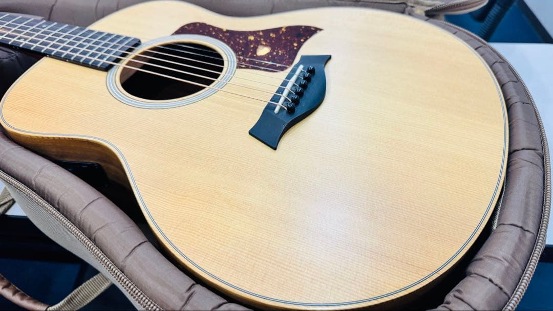 最終価格 Taylor GS Mini 限定 walnut